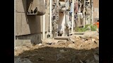 المساكن قبل التطوير