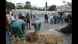 إعادة زراعة شجرة عملاقة بعد سقوطها بمصر الجديدة (14)