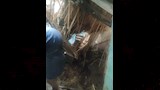منزل قرية برهمتوش المنهار (10)_7