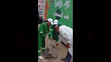 حملات بيطرية في الدقهلية لمجابهة انتشار الكلاب الضالة (9)