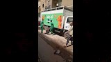 حملات بيطرية في الدقهلية لمجابهة انتشار الكلاب الضالة (4)