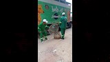 حملات بيطرية في الدقهلية لمجابهة انتشار الكلاب الضالة (10)