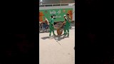 حملات بيطرية في الدقهلية لمجابهة انتشار الكلاب الضالة (3)