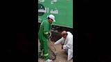 حملات بيطرية في الدقهلية لمجابهة انتشار الكلاب الضالة (5)