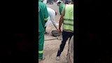 حملات بيطرية في الدقهلية لمجابهة انتشار الكلاب الضالة (8)