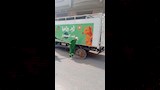 حملات بيطرية في الدقهلية لمجابهة انتشار الكلاب الضالة (6)