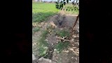 حرق جسده في مجرى المياه لإخفاء الجريمة