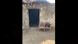 موقع الجريمة