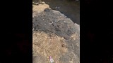 مكان التخلص من المتهم