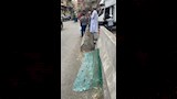 تهشم السيارة