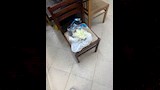 ضبط عيادة منتحل صفة طبيب في بورسعيد ١