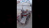 التموين
