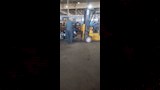 لمرحلة الثالثة لتطوير أسطول النقل العام بالإسكندرية (5)