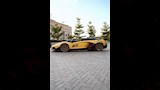 القصة الكاملة لـ فرح عريس مطروح (6)_6