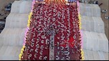 القصة الكاملة لـ فرح عريس مطروح (13)_13