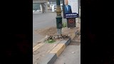 موقع الحادث