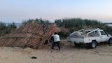 80 محضرًا و3 إزالات.. حملة موسعة لضبط مخالفات الصيد بمحمية وادي الريان