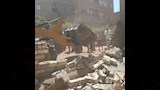 الموجة 30 لإزالة التعديات (2)
