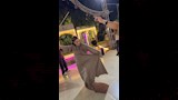 عروس سوهاج_9
