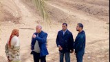محافظ أسيوط يشدد على المتابعة المستمرة للتخلص الآمن من المخلفات الزراعية وتعظيم الاستفادة منها (3)