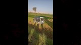 جانب من الحادث  (3)