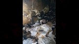 حريق يلتهم مخزن كتب داخل مدرسة في الغردقة (2)