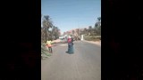 سقوط نخلة يقطع الطريق الزراعى بأسوان