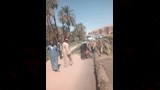 تقطيع النخلة لرفعها من الطريق