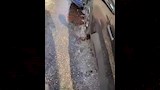 تصادم عدد من السيارات في مدينة نصر 