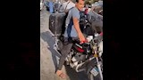 تصادم عدد من السيارات في مدينة نصر 