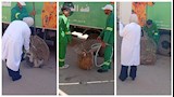 "شوفت بعيني طفل بيهوهو".. تفاصيل حملة الدقهلية لمواجهة الكلاب الضالة (صور)