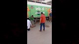 حملة بالدقهلية لمواجهة الكلاب الضالة (3)