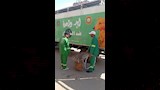 حملة بالدقهلية لمواجهة الكلاب الضالة (4)