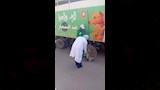 حملة بالدقهلية لمواجهة الكلاب الضالة (7)