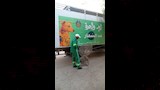 حملة بالدقهلية لمواجهة الكلاب الضالة (6)