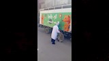 حملة بالدقهلية لمواجهة الكلاب الضالة (10)