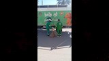 حملة بالدقهلية لمواجهة الكلاب الضالة (8)