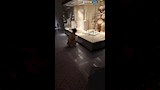 فعاليات الاحتفال داخل المتحف 