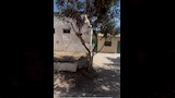 القبر بعد إزالة تلال القمامة ١_1