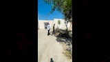 القبر بعد إزالة تلال القمامة٢_3