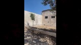 القبر بعد إزالة تلال القمامة٣_4