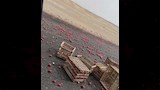 انقلاب سيارة محملة بمحصول الطماطم (4)