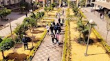 تجارة عين شمس تبرز تشجير الكلية والمسطحات الخضراء (1)