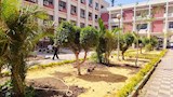 تجارة عين شمس تبرز تشجير الكلية والمسطحات الخضراء (3)