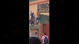 طلاب أعلى سور مدرسة بنات بشبين القناطر (3)