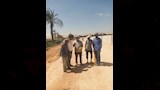 محافظ أسيوط بدء إعادة رصف طريق عمر سعد بالقوصية بطول 1.2 كم وتكلفة 5 ملايين جنيه بعد توسعته إلى 10 أمتار (1)_16