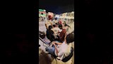 فعاليات البازار 