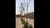 منظومة متكاملة لزيادة الأكسجين وترشيد المياه