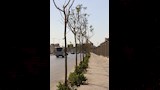 منظومة متكاملة لزيادة الأكسجين وترشيد المياه