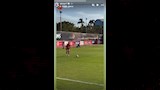 ستوري قفشة